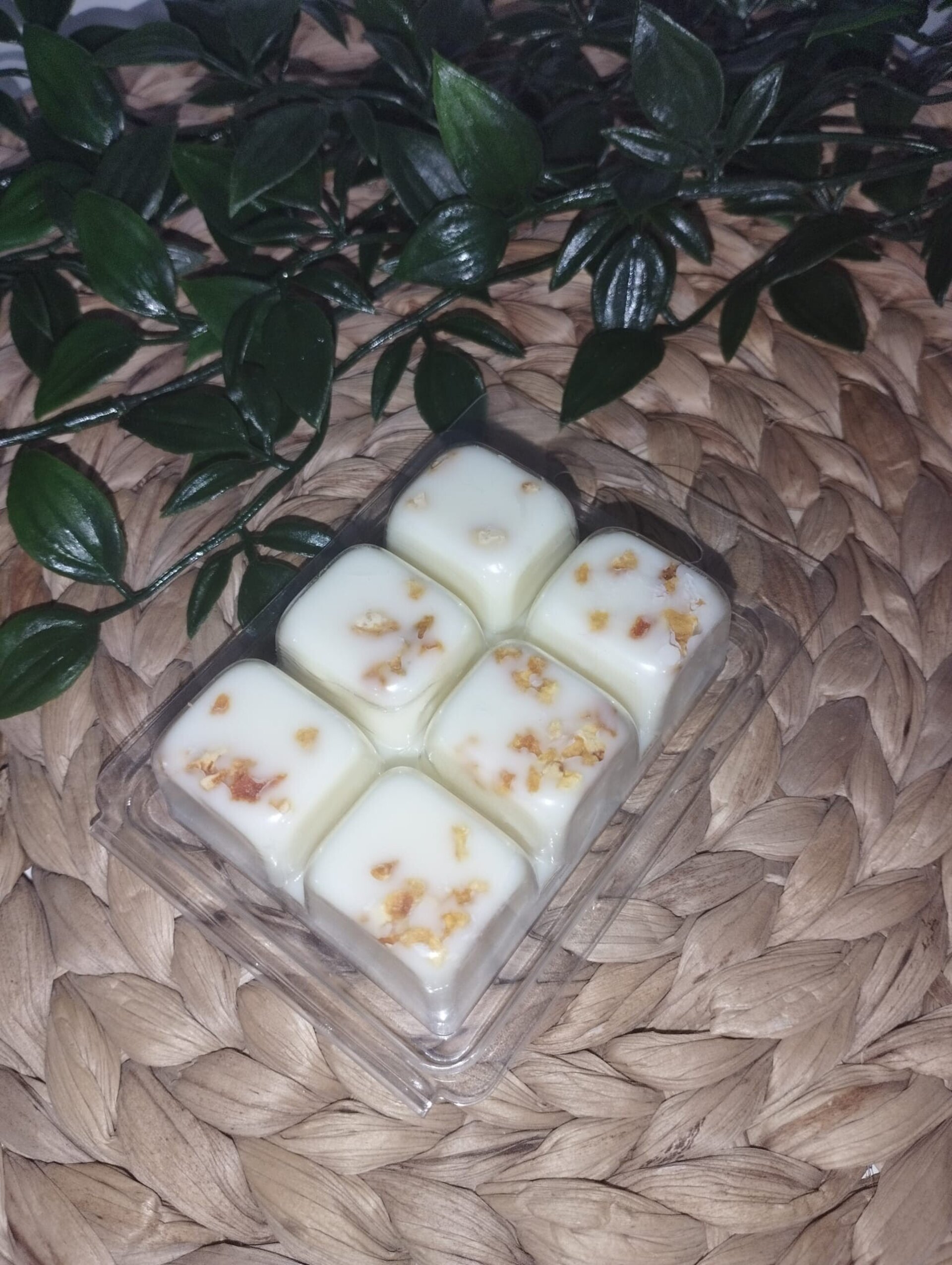 Pack Quemador CUEVA + 2 fragancias de wax melt - 10