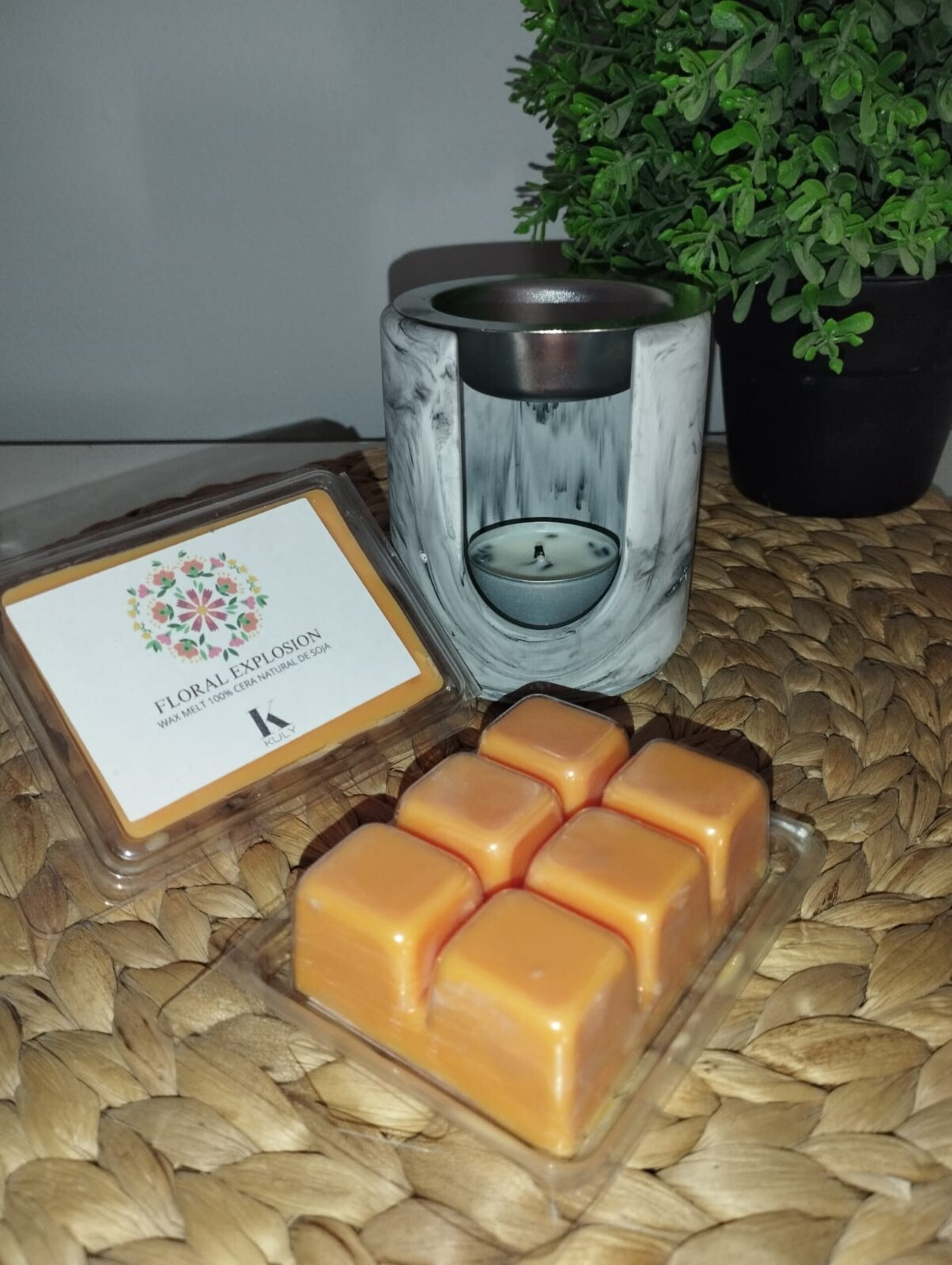 Pack Quemador  ARCO + 2 fragancias de wax melt - 4