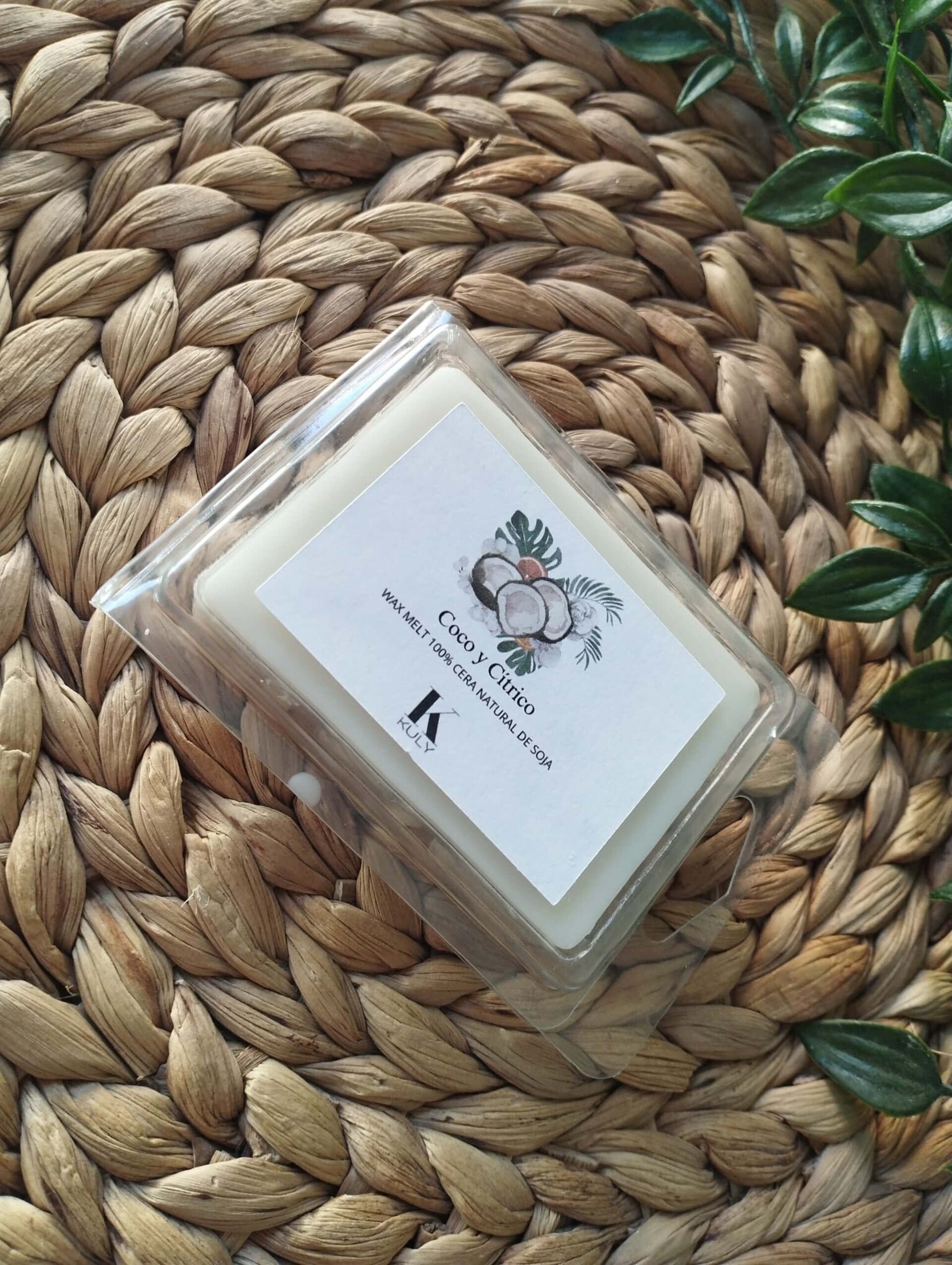 Wax Melts "Coco y Cítrico" - 3