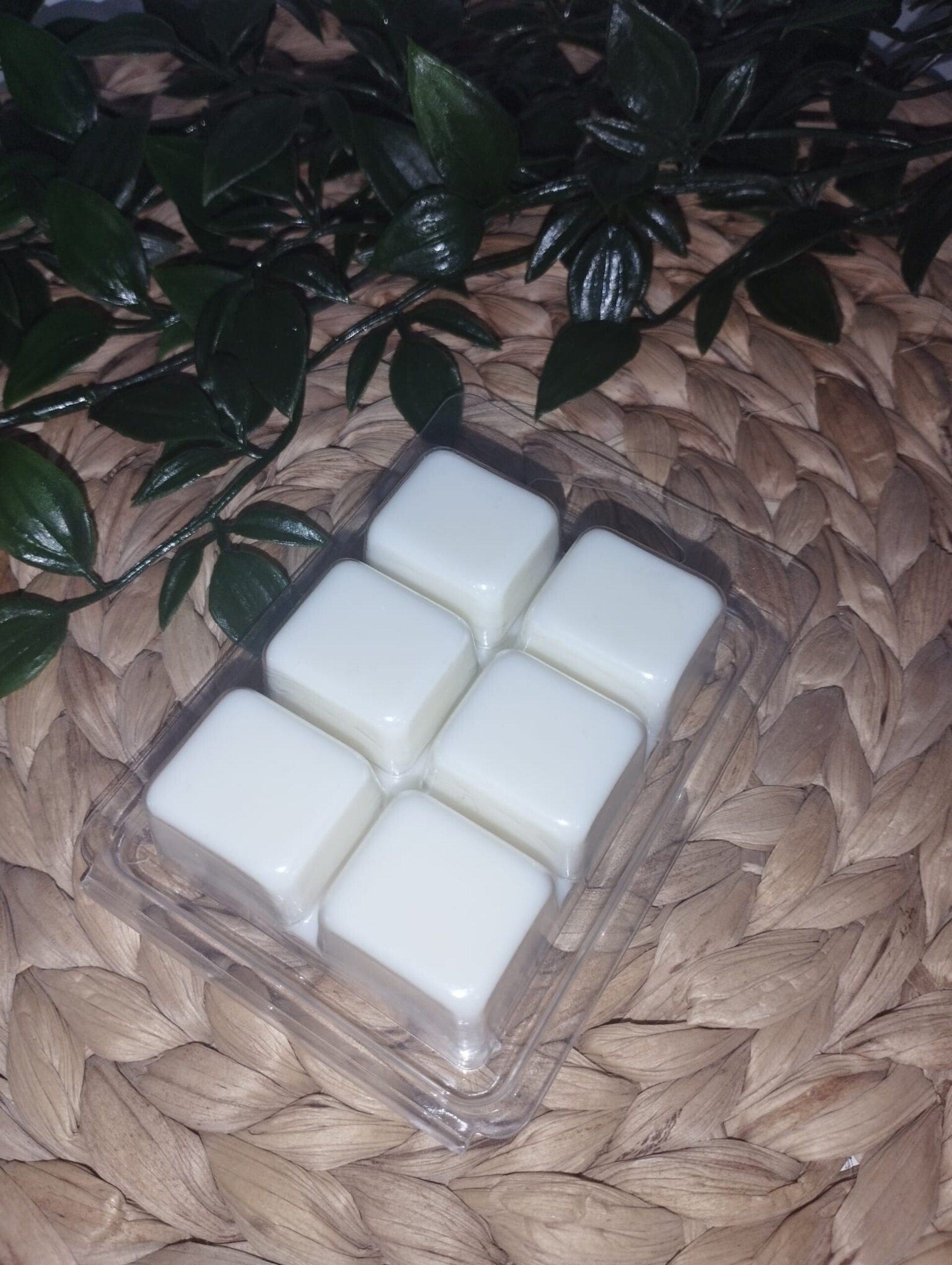 Pack Quemador CUEVA + 2 fragancias de wax melt - 11